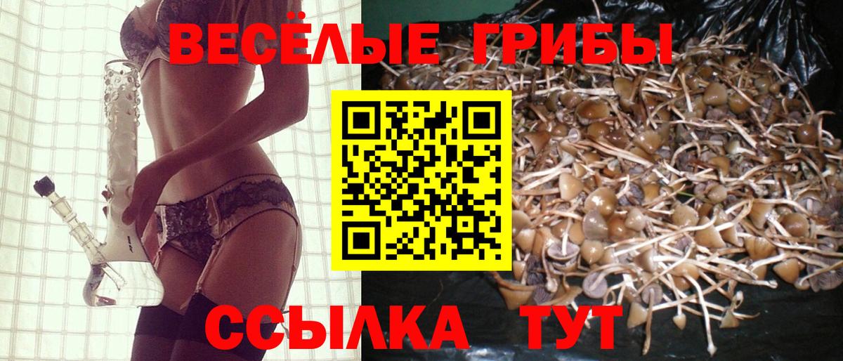 Галлюциногенные грибы Cubensis  Галлюциногенные грибы прущие грибы  Рассказово  Вход с VPN 