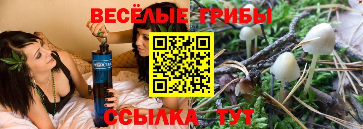 Галлюциногенные грибы GOLDEN TEACHER Рассказово